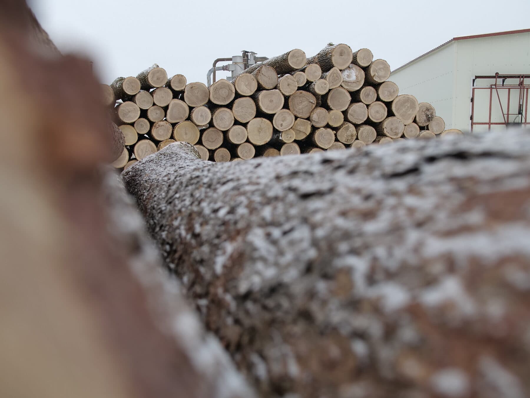 Inside the Vladivostok mill — image 5