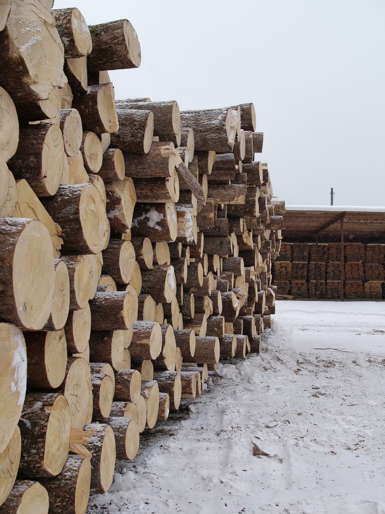 Inside the Vladivostok mill — image 6
