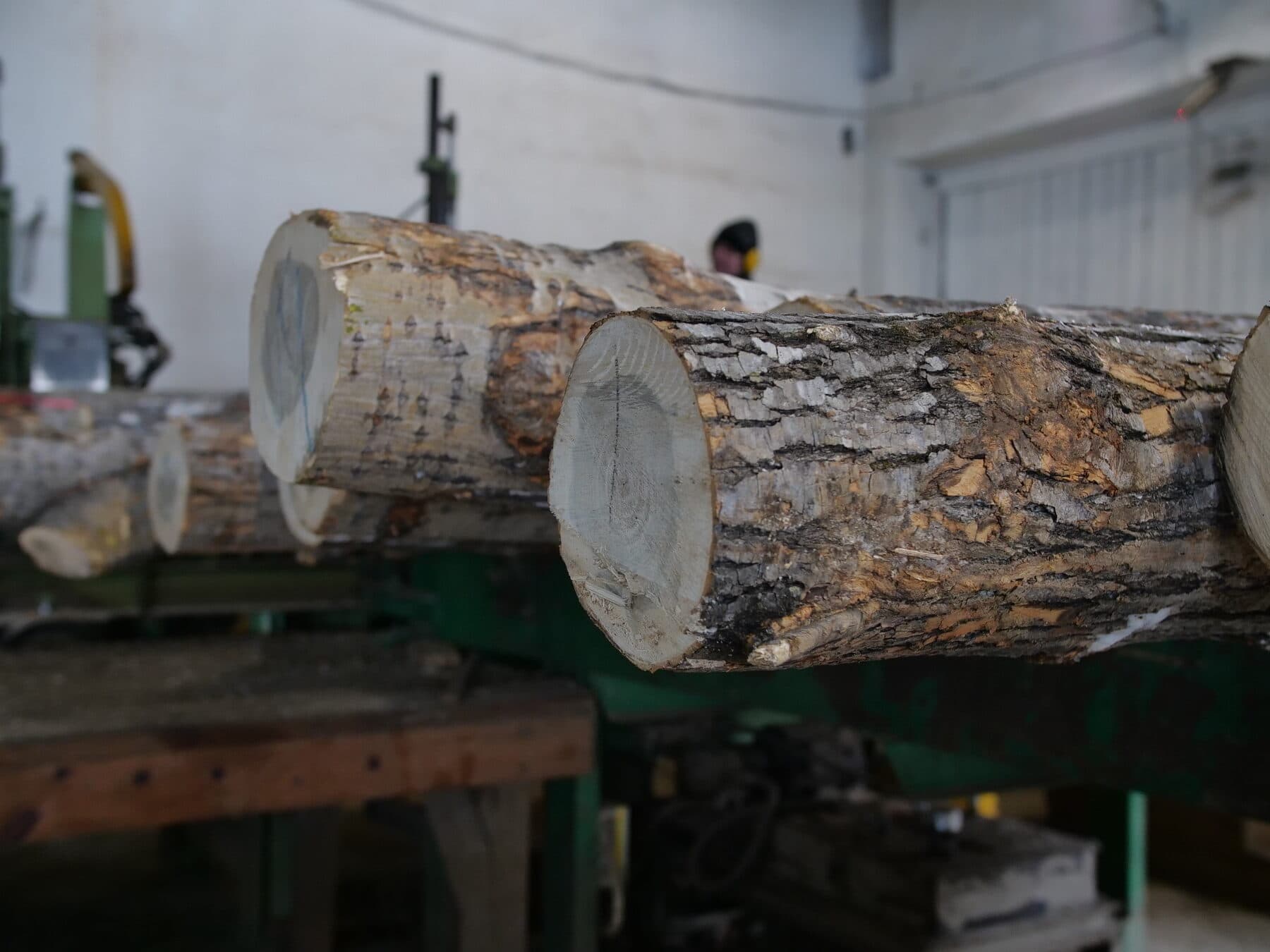 Inside the Vladivostok mill — image 10