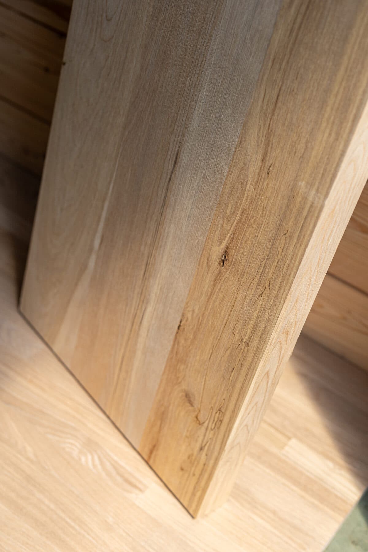 Yellow birch — image 2