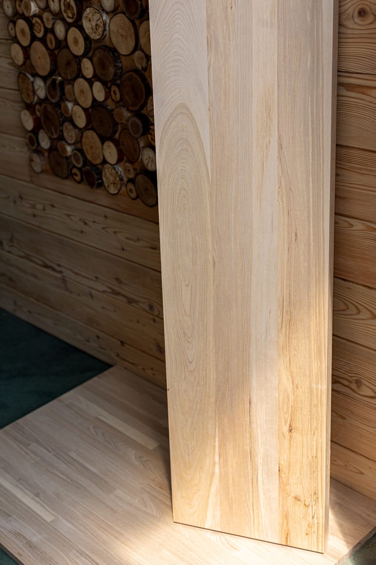 Yellow birch — image 3