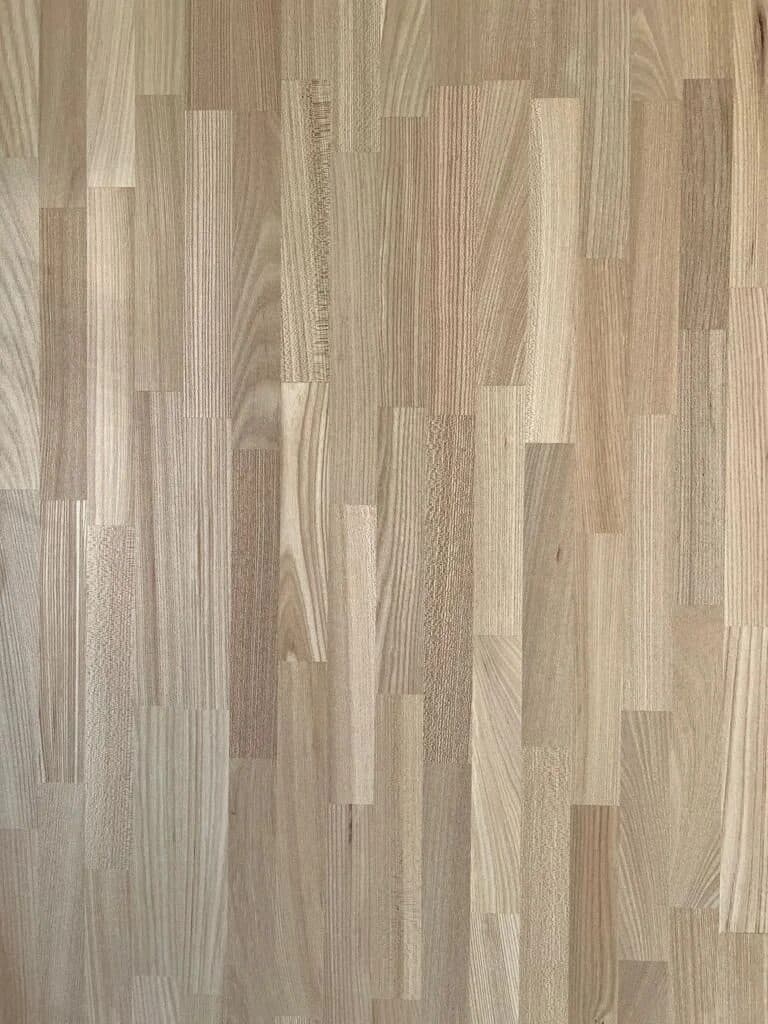 Primorsky elm — image 1