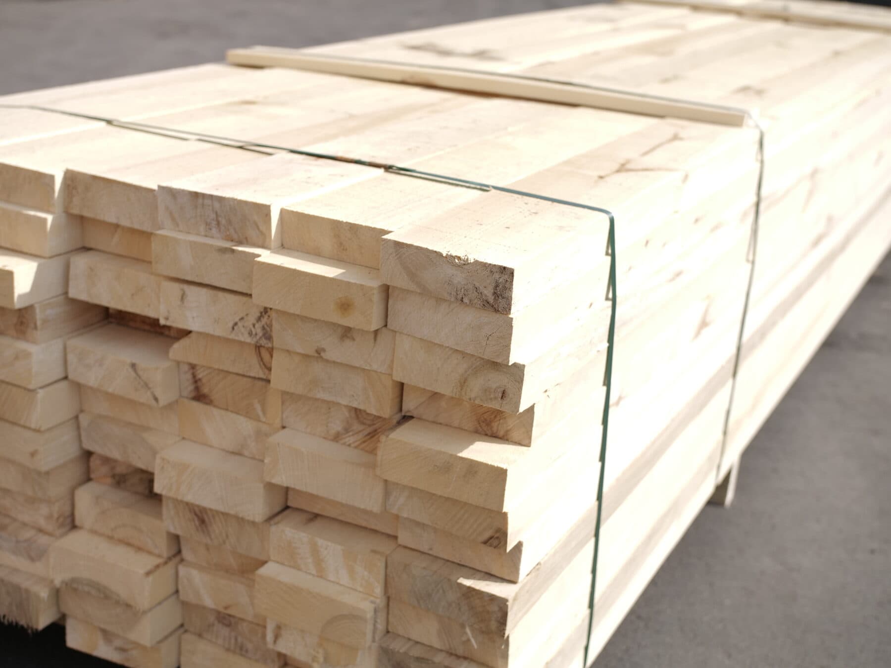 Maximowicz poplar — glue-laminated panels
