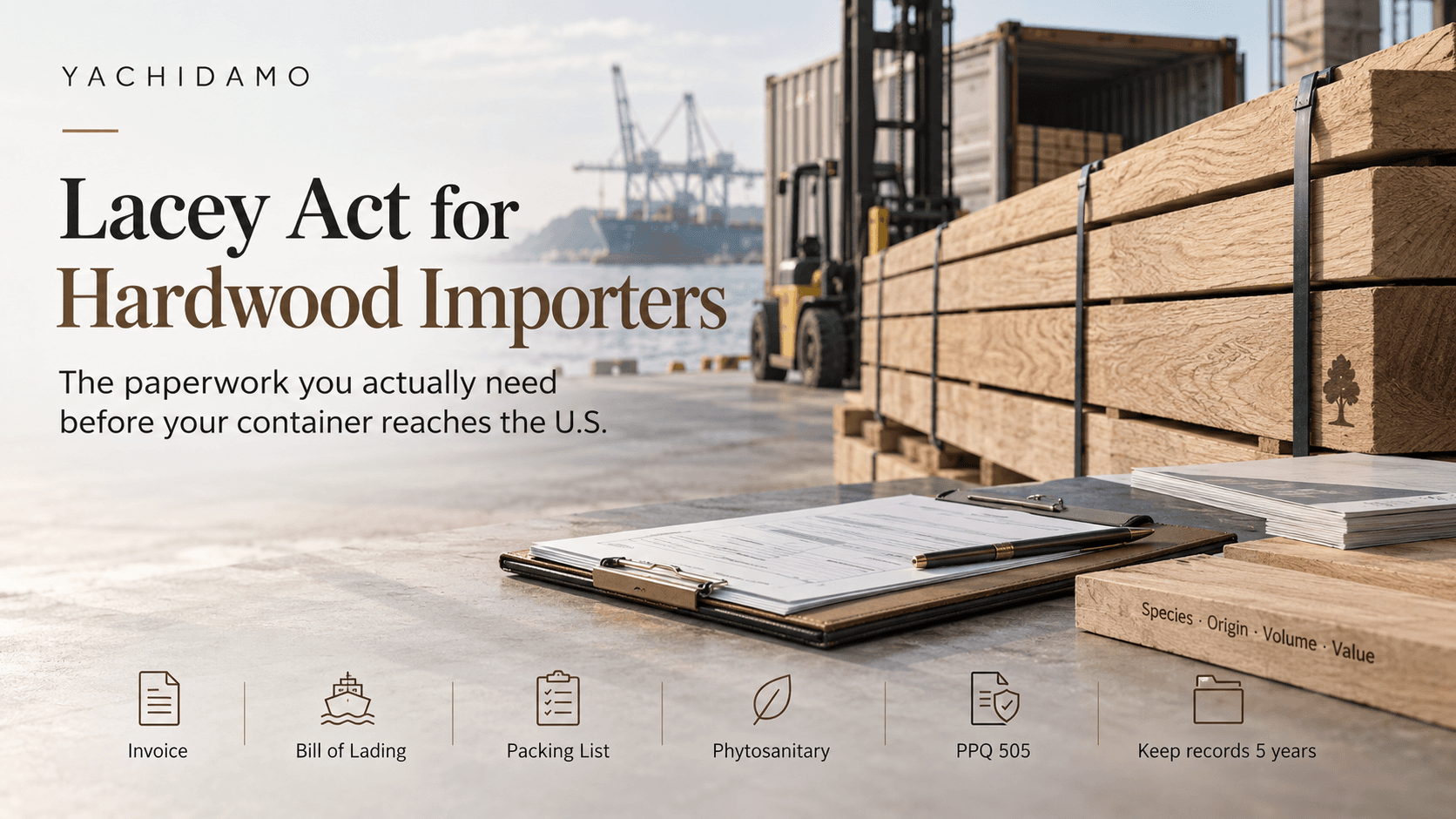 Lacey Act for hardwood importers: the paperwork you actually need